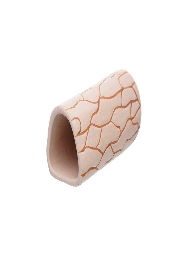 Plecoceramics زينة سيراميكية لحوض أسماك Plecoceramics، مناسبة لتربية أسماك Pleco Cave، حجم متوسط (قطعة واحدة على شكل جمل) - Image 1
